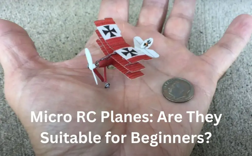 Micro RC planes